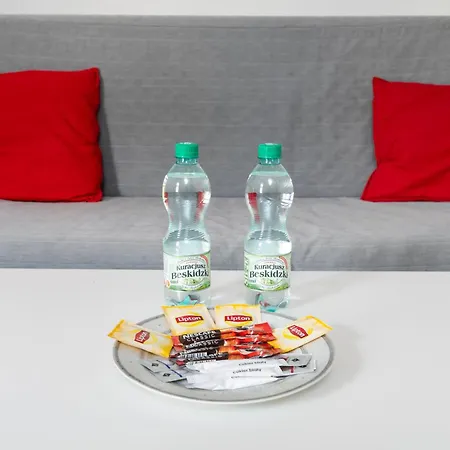 Lägenhet Kilinskiego Standard By Bookinghost Łódź