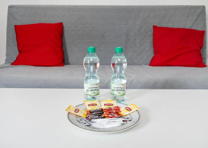 Lejlighed Kilinskiego Standard By Bookinghost Łódź